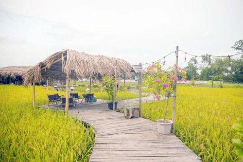 越南乡村网红,用镜头讲述田园生活新篇章