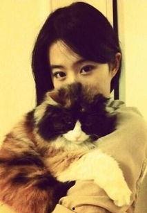 为什么女明星都爱抽烟,揭秘女明星偏爱抽烟的神秘面纱