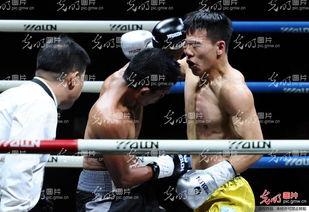 拳击林春雷个人资料,拳击赛场上的钢铁战士，荣耀与拼搏的传奇人生